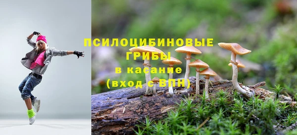 гашик Алзамай