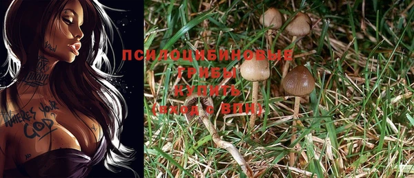 Альфа ПВП Алексин